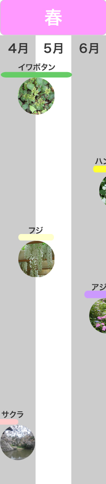 �G�߂̌��ǂ���@�t