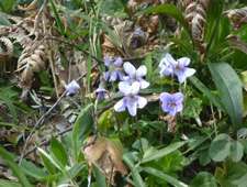 2���@�X�~��