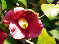 2���@���u�c�o�L