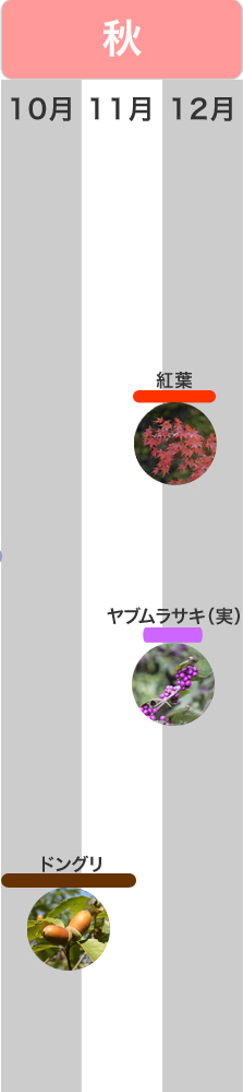 �G�߂̌��ǂ���@�H