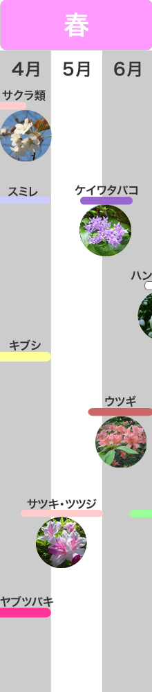 �G�߂̌��ǂ���@�t