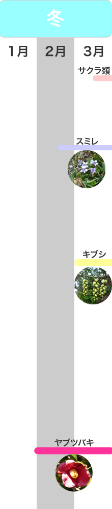 �G�߂̌��ǂ���@�~