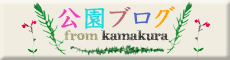 公園ブログ from KAMAKURA