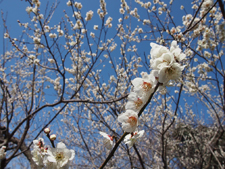 2���@�E��