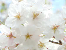 3���`4���@�\���C���V�m