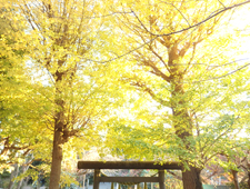 11���`12���@�C�`���E