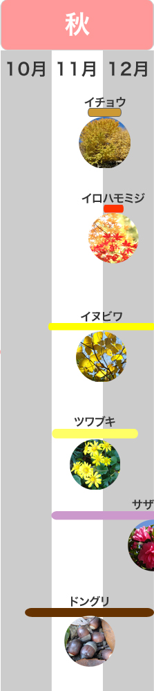 �G�߂̌��ǂ���@�H