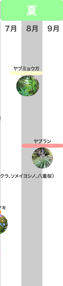 �G�߂݂̂ǂ���@��