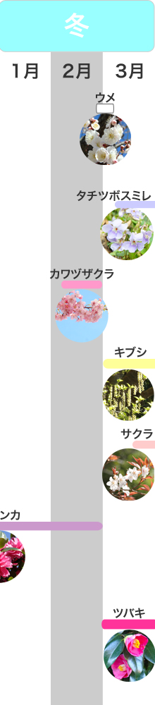 �G�߂̌��ǂ���@�~