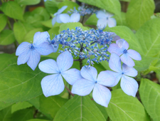 5���`6���@���}�A�W�T�C