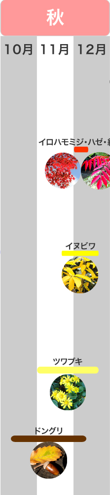 �G�߂̌��ǂ���@�H