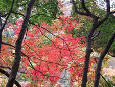 12���@�g�t