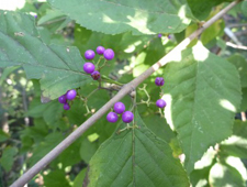 12���@���u�����T�L