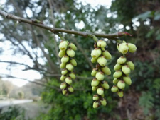 3���@�L�u�V